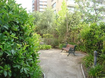 Imagen 12