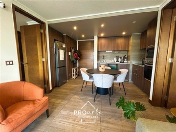 Arriendo Mensual / Departamento / Providencia