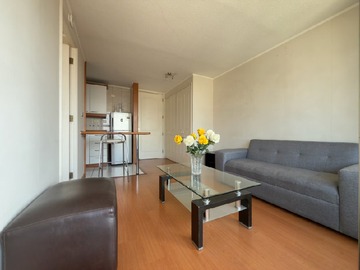 Arriendo Mensual / Departamento / Providencia