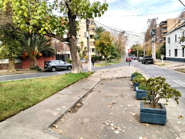 Imagen 5