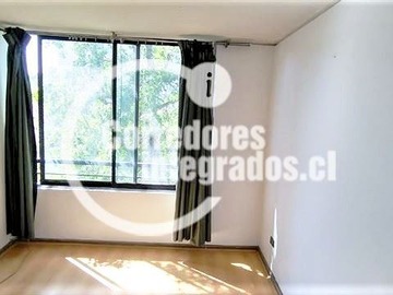 Imagen 15