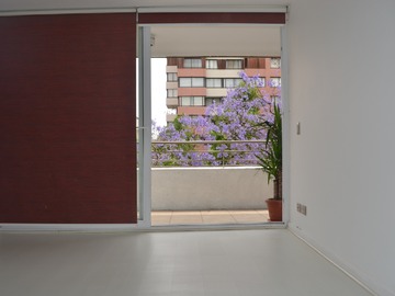 Imagen 21