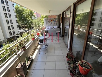 Imagen 11
