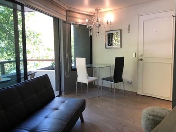 Arriendo Mensual / Departamento / Providencia