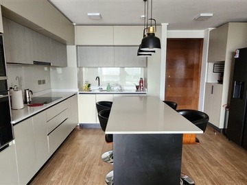 Arriendo Mensual / Departamento / Providencia