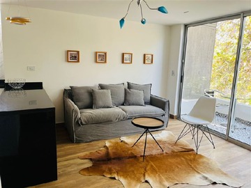 Arriendo Mensual / Departamento / Providencia