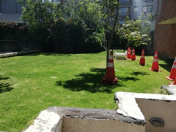 Imagen 26