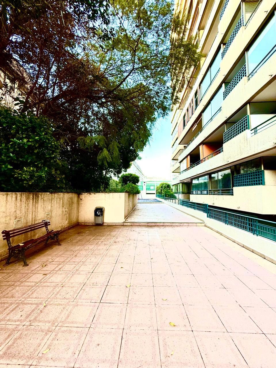 CIRCUITO DE AREAS VERDES