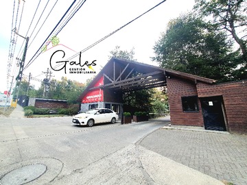 Arriendo Mensual / Departamento / Pucón