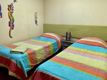 Imagen 12