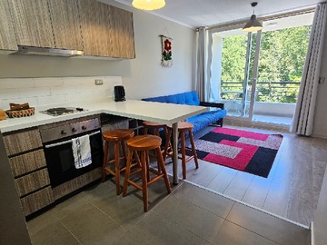 Arriendo Mensual / Departamento / Pucón