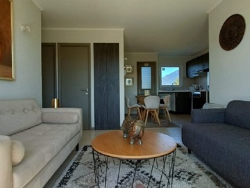 Arriendo Mensual / Departamento / Pucón