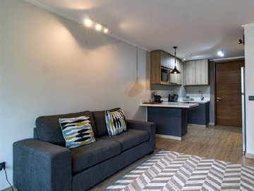 Arriendo Mensual / Departamento / Pucón