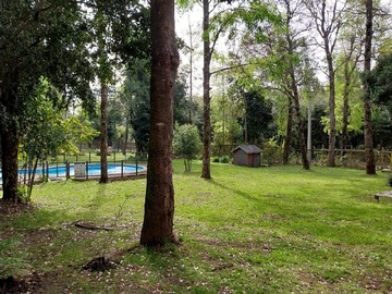Imagen 15