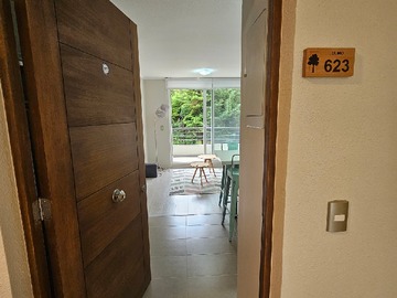Arriendo Mensual / Departamento / Pucón