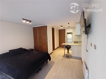 Arriendo Mensual / Departamento / Pucón