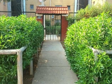 Imagen 14