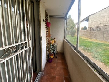 Imagen 5