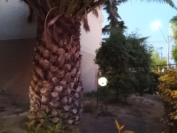 Jardines y acceso exterior