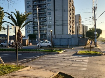 Imagen 19