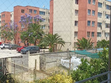 Imagen 16