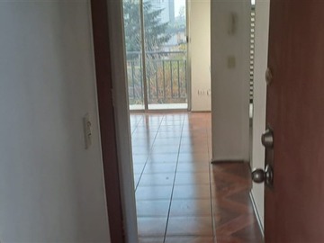 Imagen 11