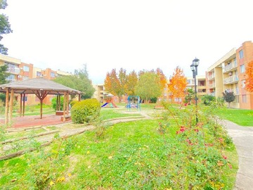 Imagen 18