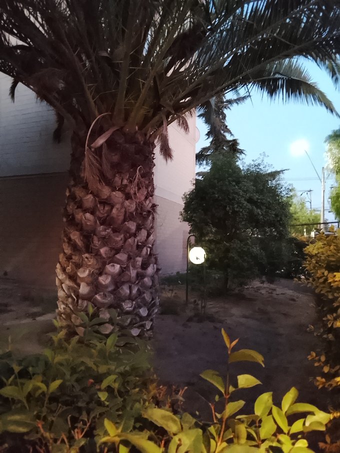 Jardines y acceso exterior