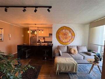 Arriendo Mensual / Departamento / Puente Alto