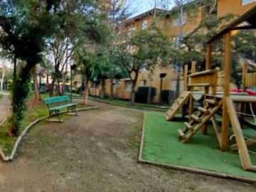 Imagen 11