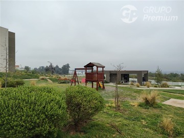 Imagen 13