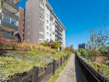 Arriendo Mensual / Departamento / Puerto Montt