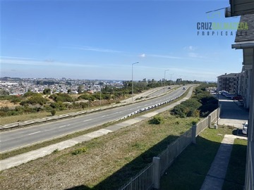 Imagen 11