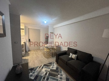 Imagen 13