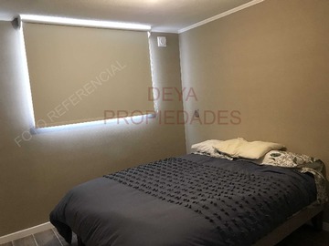 Imagen 9