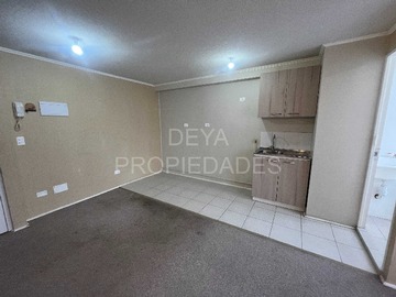 Imagen 6