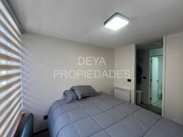 Imagen 15