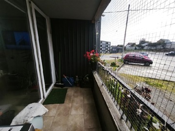 Imagen 5