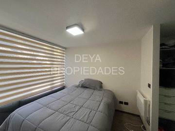 Imagen 11