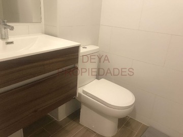 Imagen 10