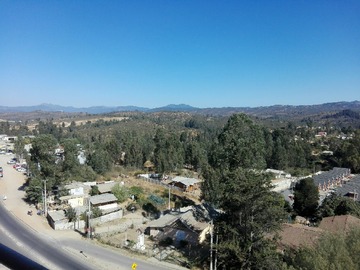 Imagen 13