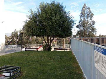 Imagen 8