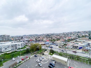 Imagen 5