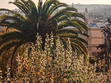 Arriendo Mensual / Departamento / Quilpué