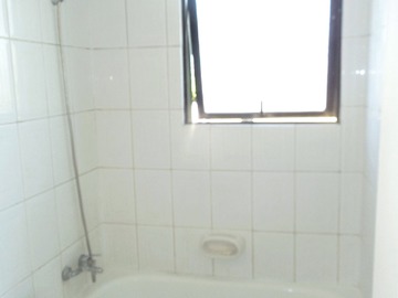 Imagen 12