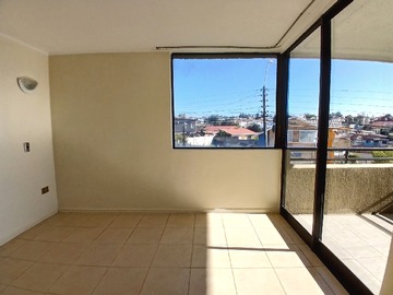 Imagen 11