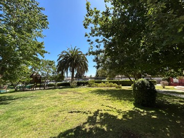 Imagen 11