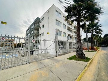 Imagen 5