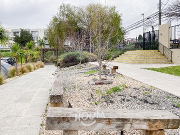 Imagen 29