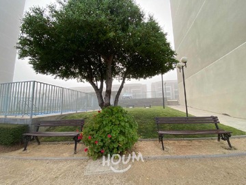 Imagen 22